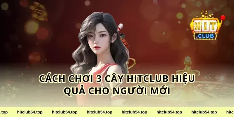 Cách chơi 3 cây HitClub hiệu quả cho người mới