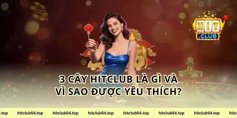 3 cây HitClub là gì và vì sao được yêu thích?