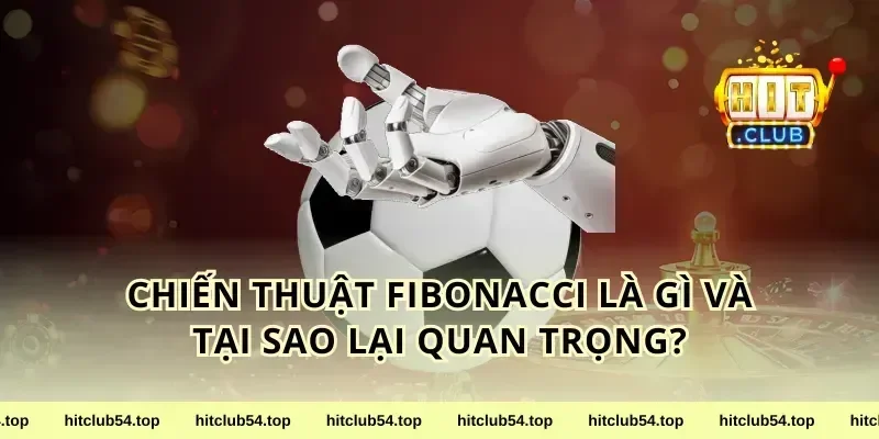 Chiến Thuật Fibonacci Là Gì Và Tại Sao Lại Quan Trọng?
