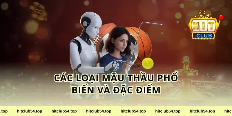 Các loại mậu thầu phổ biến và đặc điểm