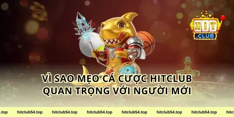 Vì sao mẹo cá cược HitClub quan trọng với người mới