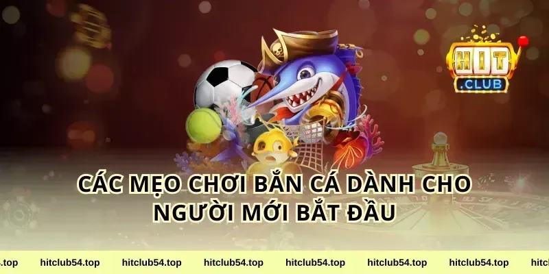 Các Mẹo Chơi Bắn Cá Dành Cho Người Mới Bắt Đầu